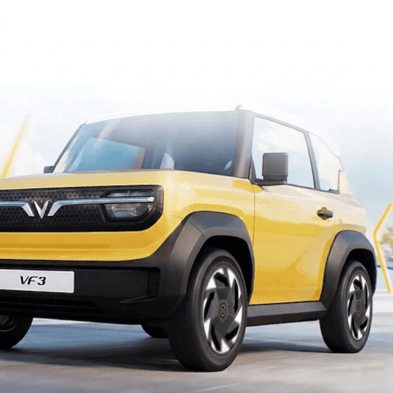 ỐP LAZANG VF3