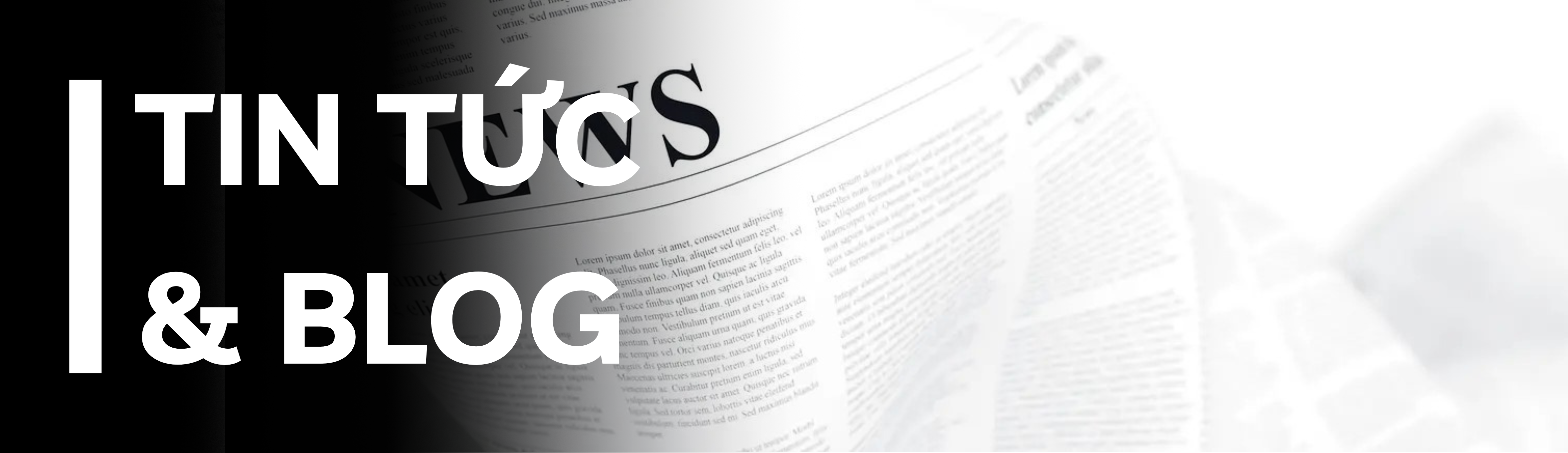 Tin tức & Blog